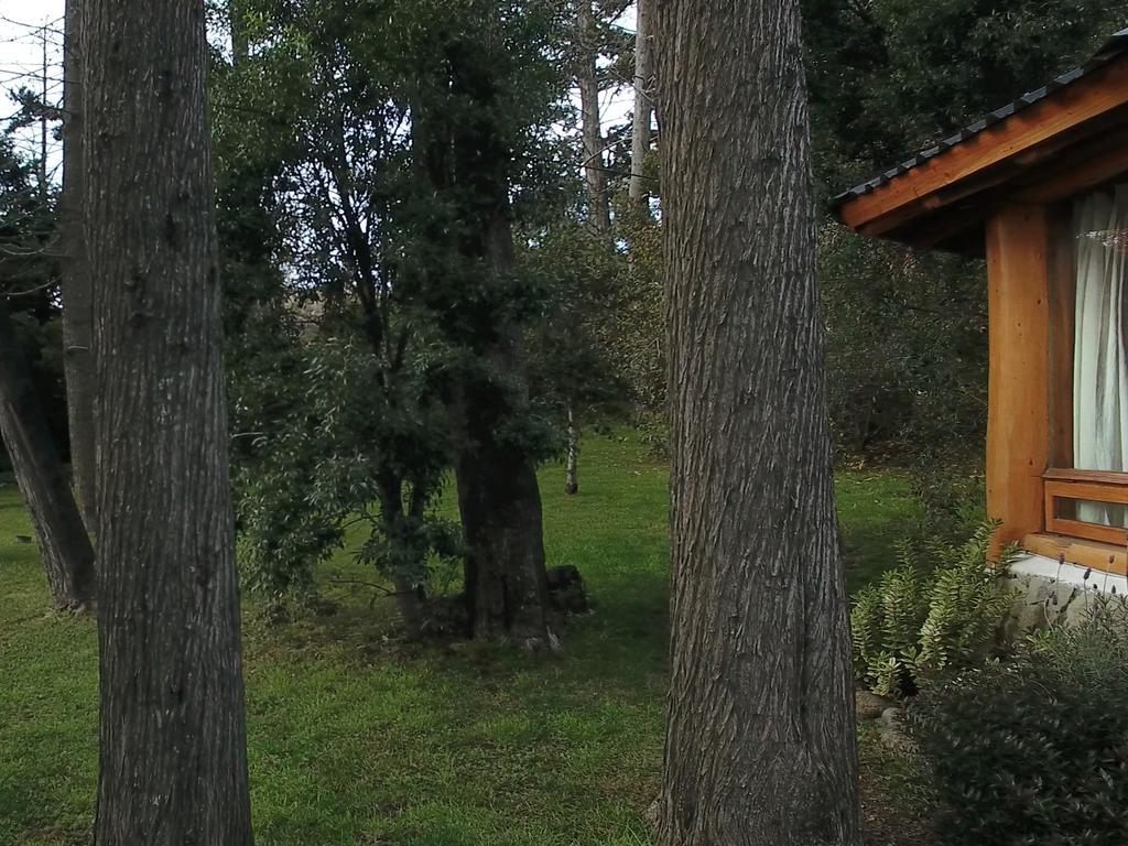 Htl La Malinka Hotell San Carlos de Bariloche Eksteriør bilde